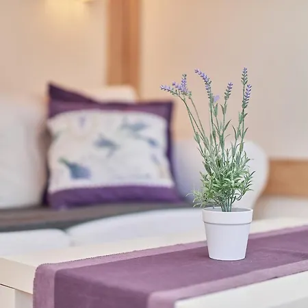 Apartment Lavender Center By Renters Wroclaw