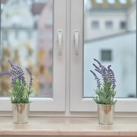 Apartment Lavender Center By Renters